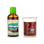 Bylinné kapky ECHINACEA KVETOUCÍ NAŤ KAPKY tinktura 50 ml – Hledejceny.cz