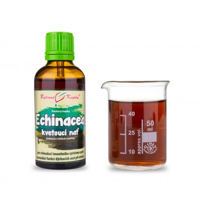 Bylinné kapky ECHINACEA KVETOUCÍ NAŤ KAPKY tinktura 50 ml – Hledejceny.cz