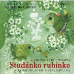 Studánko rubínko + CD - Věra Provazníková