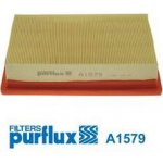 Vzduchový filtr PURFLUX A1579 – Hledejceny.cz