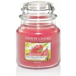 Yankee Candle Pink Dragonfruit 411 g – Hledejceny.cz