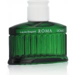 Laura Biagiotti Roma Uomo Green Swing toaletní voda pánská 40 ml – Hledejceny.cz