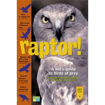 Matagot Raptor