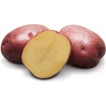 Sadbové brambory CAMEL polorané - 5kg – Sleviste.cz