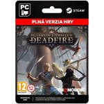 Pillars of Eternity 2: Deadfire – Sleviste.cz