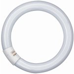 Osram G10q 40W 865 Lumilux T9C fluorescenční kruh L40W/865C – Hledejceny.cz
