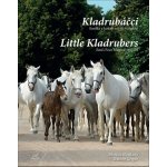 Kladrubáčci - Emilka a kouzlo ročních / Little KLadrubers - Emis Four Magical Seasons - Dalibor Gregor – Hledejceny.cz