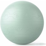 PROIRON Yoga Ball Embos 65 cm – Zboží Mobilmania