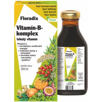 Salus Vitamin B komplex Pro psychickou rovnováhu 250 ml