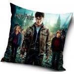 Carbotex Harry Potter Hermiona a Ron 40 x 40 cm – Zbozi.Blesk.cz