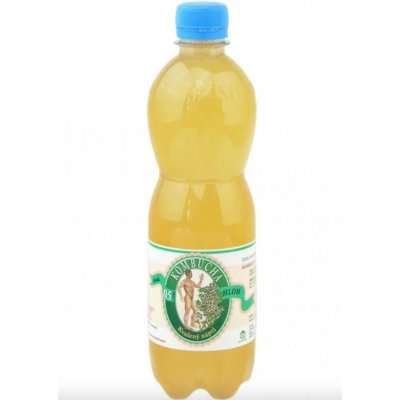 Stevikon kombucha hloh 0,5 l – Sleviste.cz