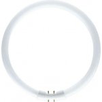 Philips kruhová Master TL5 Circular 22W 840 2GX13 – Zbozi.Blesk.cz