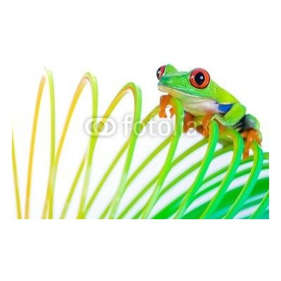 WEBLUX 38488901 Samolepka fólie Colorful Frog on a spring Barevné žába na jaře cívka hračku rozměry 100 x 73 cm – Zbozi.Blesk.cz