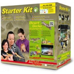 Lucky Reptile Starter Kit Desert Gecko 50 x 28 x 40 cm bílé