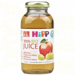 HiPP BIO Jablečno-hroznová 200 ml – Zboží Dáma