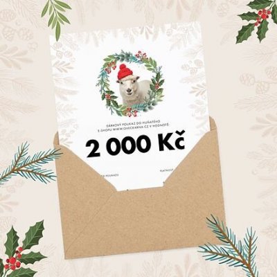 Czech Wool company Vánoční dárkový poukaz v 2000 Kč – Hledejceny.cz