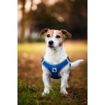 Vsepropejska Rigby prodyšné kšíry pro psa – Zboží Dáma