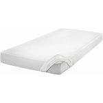 Setex Inkontinenční ochrana matrace 2vrstvá 100x200 – Zboží Dáma