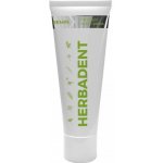 Herbadent Remin posilující 75 g – Hledejceny.cz