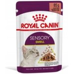 Royal Canin Sensory Smell gravy 12 x 85 g – Hledejceny.cz
