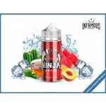 Infamous Special Shake & Vape Ninja Juice 20 ml – Zboží Mobilmania