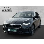 Skoda Scala Selection 85 kW – Hledejceny.cz