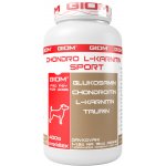 Giom Chondro L-karnitin Sport 400 g – Hledejceny.cz