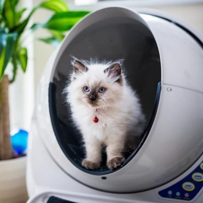 Litter Robot III Connect Automatický samočistící záchod pro kočky 75 x 62 x 68 cm – Sleviste.cz