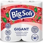 Big Soft Gigant dvouvrstvé kuchyňské papírové utěrky, 2× 80 útržků, 2 role – Hledejceny.cz