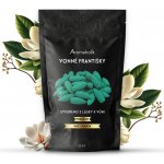 Aromaholik vonná kadidla kužely Backflow Nag Champa 30 ks – Hledejceny.cz