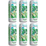 Coconaut Kokosová voda 320 ml – Zboží Dáma