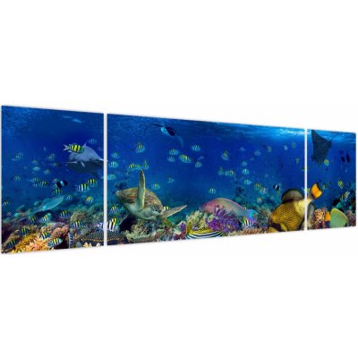 Obraz - Oceán, třídílný 170x50 cm – Hledejceny.cz