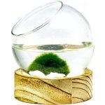 Gardners Skleněná koule Iris v dřevěném podstavci 10 cm a 1 řasokoule – Zboží Dáma