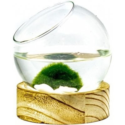 Gardners Skleněná koule Iris v dřevěném podstavci 10 cm a 1 řasokoule – Zboží Dáma