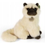 KOČKA BARMSKÝ KOČKA BRITSKÁ DLOUHOSRSTÁ – Hledejceny.cz