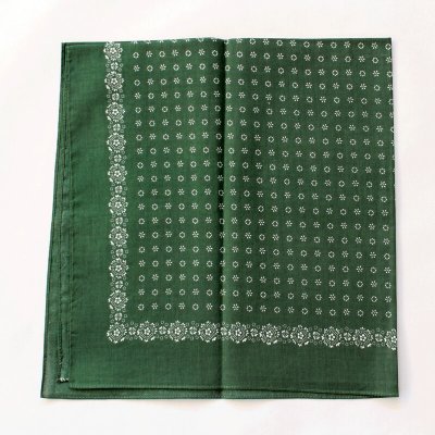 Etex bavlněný šátek zelený s bílými květy – Hledejceny.cz