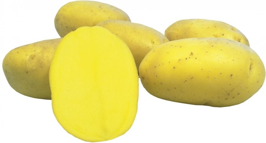 Sadba brambor PRINCESS (pytel 5kg)