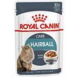 Royal Canin pro kočky Hairball Care 85 g – Hledejceny.cz