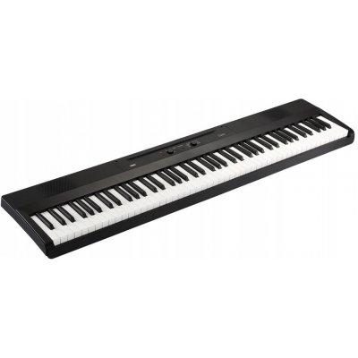 Korg L1 Liano – Hledejceny.cz