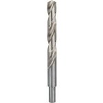 Bosch 2608585595 – Hledejceny.cz