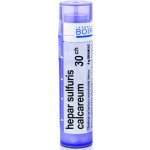 HEPAR SULFURIS CALCAREUM POR 30CH GRA 4G – Hledejceny.cz