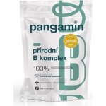 Pangamin přírodní B komplex tablet 120 – Hledejceny.cz