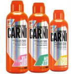 Extrifit Carni 120000 Liquid 3000 ml – Hledejceny.cz