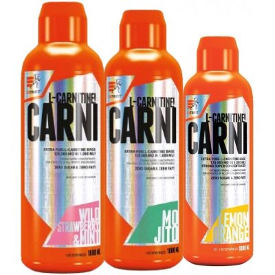 Extrifit Carni 120000 Liquid 3000 ml – Hledejceny.cz