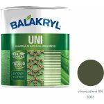 Balakryl Uni satin 0,7 kg olivová zelená – Sleviste.cz