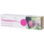 TRAUMAPLANT DRM UNG 100G – Sleviste.cz