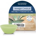 Yankee Candle vonný vosk Sage & Citrus Šalvěj a citrus 22 g – Zboží Dáma