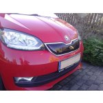 Škoda Citigo 12-17 Zimní clona | Zboží Auto