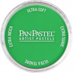PanPastel Artists’ suchý pastel 640.5 permanent green – Hledejceny.cz