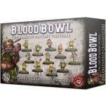 GW Warhammer Imperial Nobility Blood Bowl Team: The Bögenhafen Barons – Hledejceny.cz